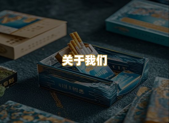 关于我们